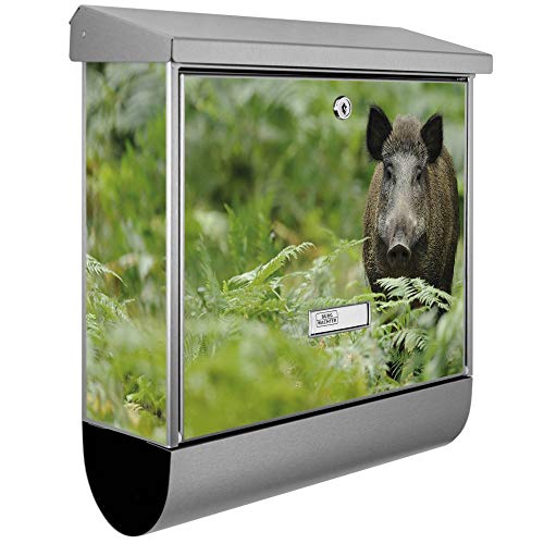 banjado® Burgwächter Briefkasten Edelstahl 38x39x12cm mit Motiv Wildschwein/Briefkasten Edelstahl ohne Zeitungsfach/Briefkasten grau/Postkasten inkl. Montagematerial & 2 Schlüsseln